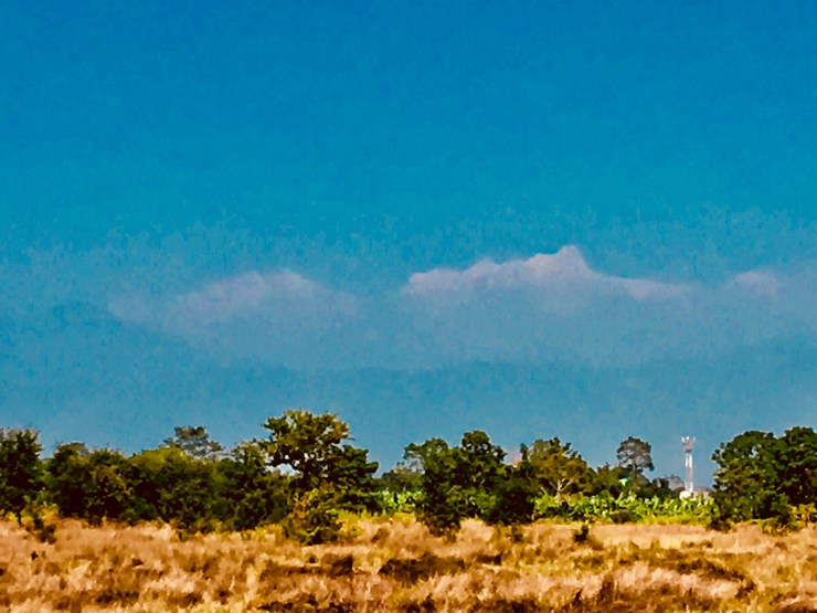 Boxer_1540778774.144297_asset